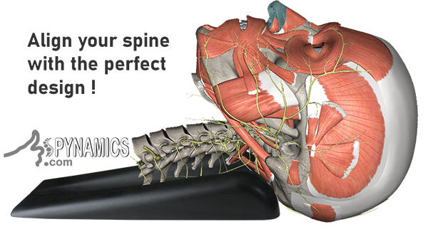 spine aligner occipital muscles relax